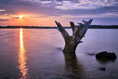 Driftwood on tree by lake against sky during sunset