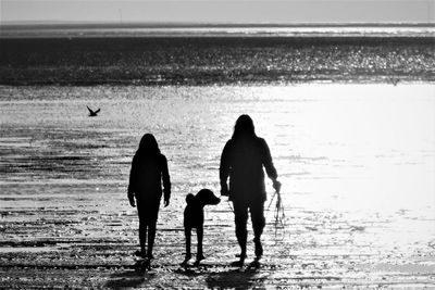 Rear view of silhouette people on beach