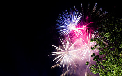 Low angle view of firework display at night