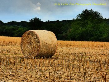 Hay bales on field against sky