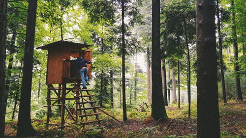 People standing by tree in forest
