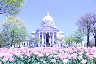 View of flowers in front of building