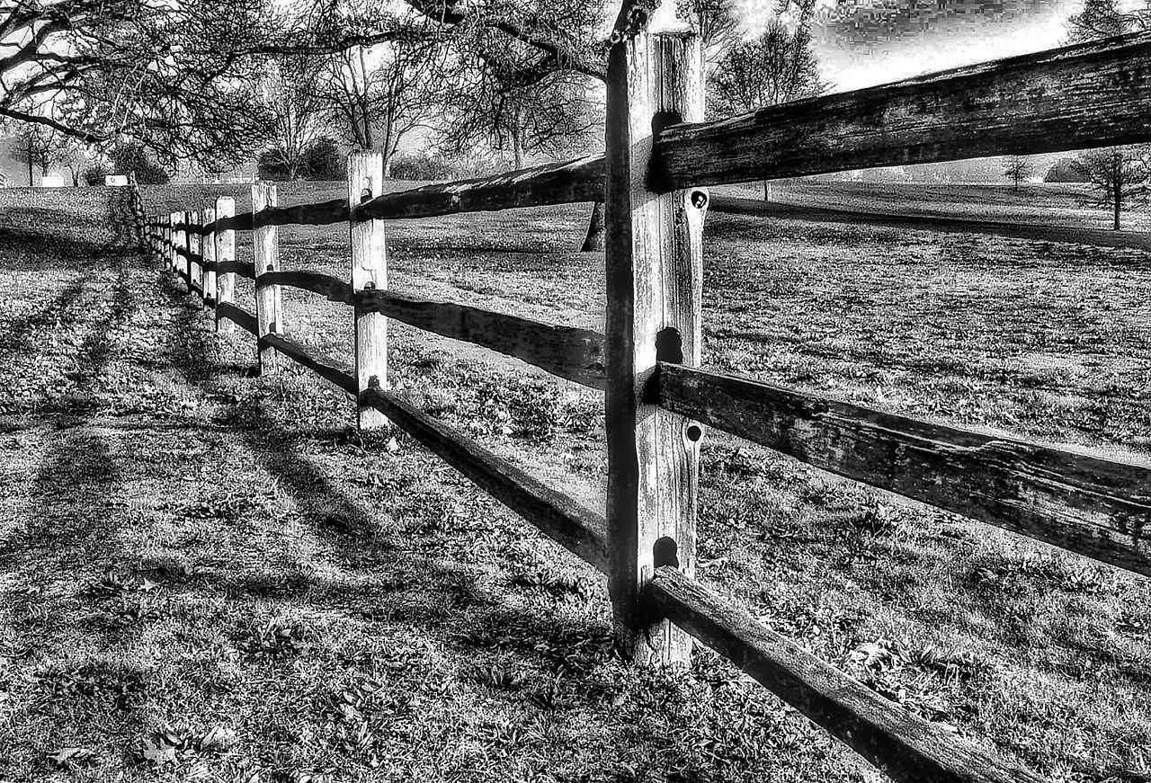 land, fence, barrier, tree, field, day, boundary, plant, nature, no people, wood - material, protection, safety, security, tranquility, sunlight, metal, landscape, outdoors, non-urban scene