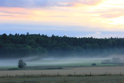 Scenic view of landscape against sky