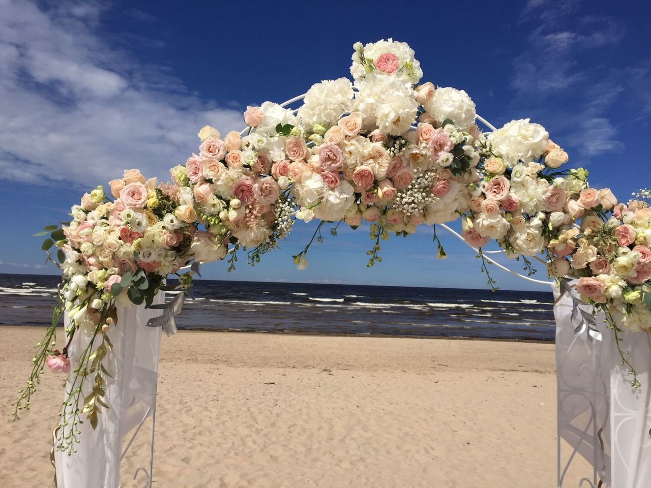 CLOSE-UP OF FLOWERS ON BEACH