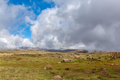 Scenic view of field against sky