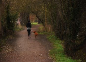 Rear view of woman with dog walking on pathway