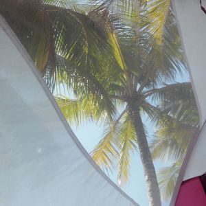 Low angle view of palm tree against sky