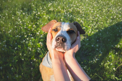 Portrait of young woman holding small dog in park