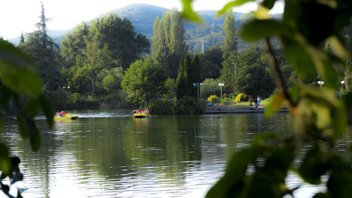 Scenic view of lake against trees