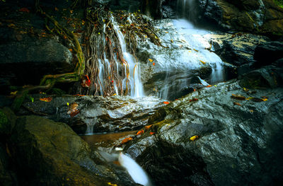 Scenic view of waterfall in forest