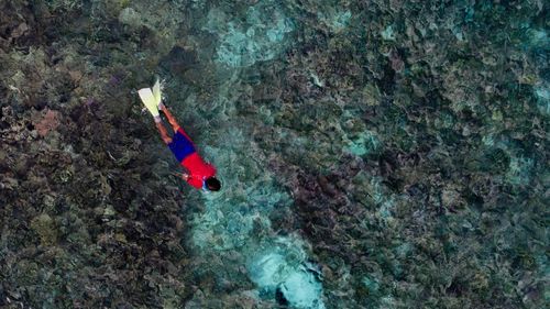 Person with umbrella on rock