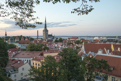 Tallinn old town in sunset