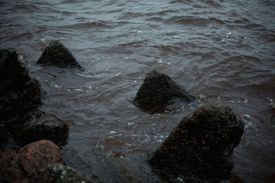 High angle view of rocks in sea