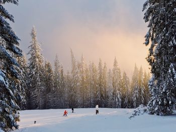 Snow on field against sky