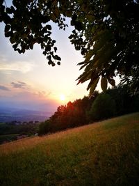 Scenic view of field against sky at sunset