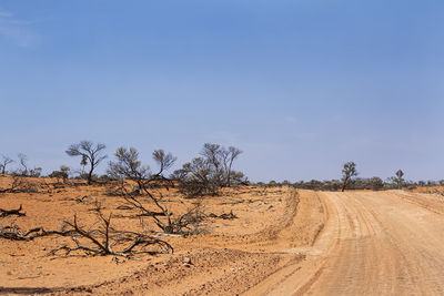 Dusty unsealed road through scrubby bushes in red desert country in central south australia.