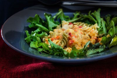 Close-up of meal served in plate