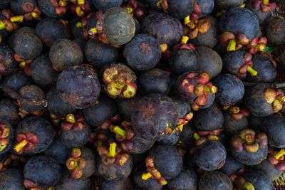 Full frame shot of blueberries