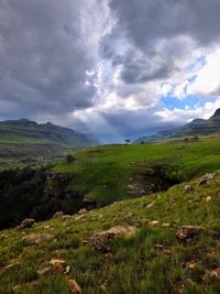 View of grassy landscape against cloudy sky