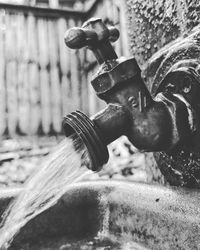 Close-up of statue against water