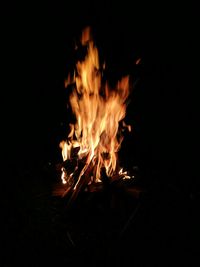 Bonfire at night