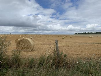 Scenic view of field against sky