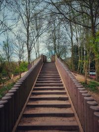 View of footbridge in forest