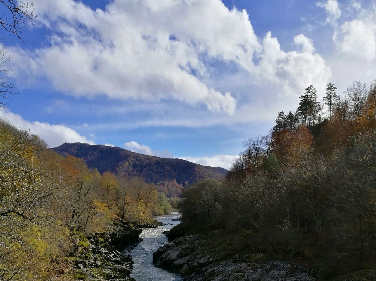 sky, cloud - sky, tree, nature, scenics, beauty in nature, landscape, day, mountain, tranquility, no people, outdoors