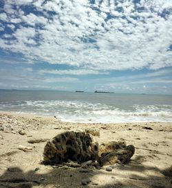 Scenic view of beach against sky