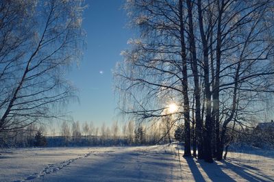 Snow covered landscape