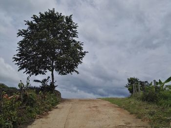 Road amidst trees on field against sky