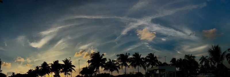 Low angle view of silhouette palm trees against sky