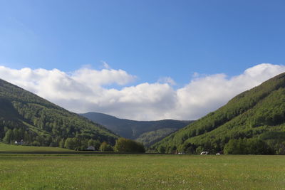 Scenic view of field against sky