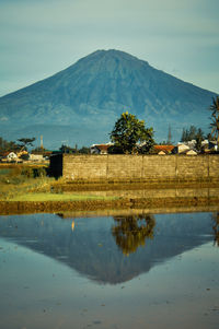 Mount sumbing reflection