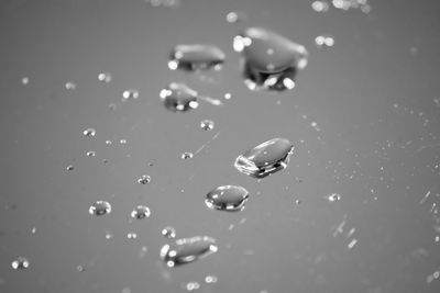 Close-up of water drop on leaf