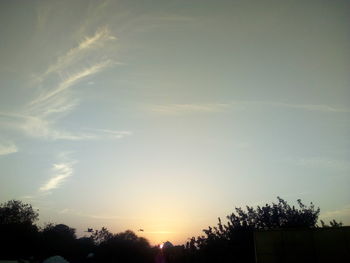 Low angle view of silhouette trees against sky at sunset