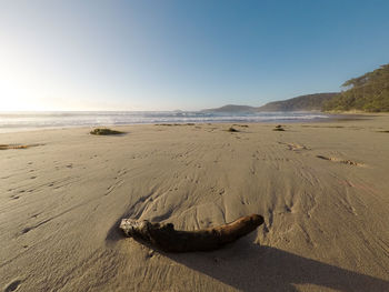 Scenic view of beach against clear sky