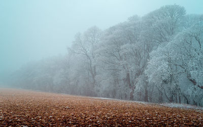 Scenic view of snow covered land during autumn against sky