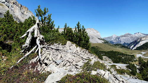 Scenic view of snowcapped mountains against clear sky
