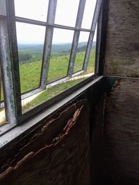 window