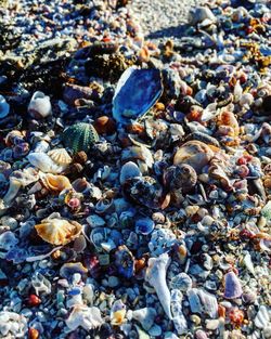 Full frame shot of pebbles at beach