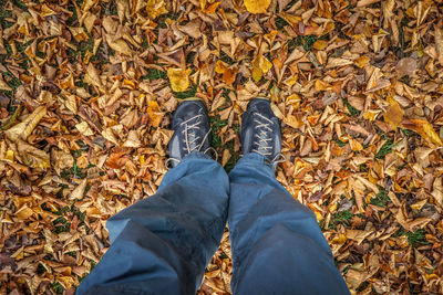 Low section of man standing on dry leaves