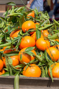 Close-up of fruits for sale at market stall