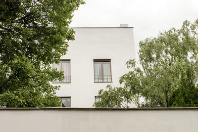 Low angle view of trees against sky