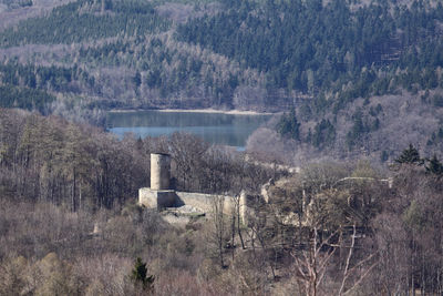 Scenic view of lake in forest