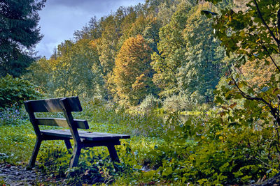 Empty chairs and table in park during autumn