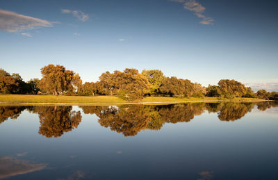 Reflection of trees in lake against sky