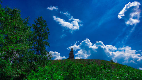 Low angle view of trees against blue sky