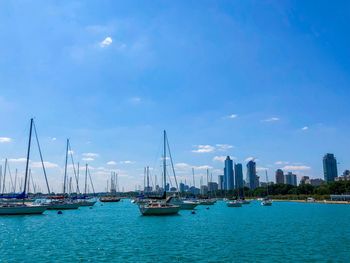 Sailboats moored in marina